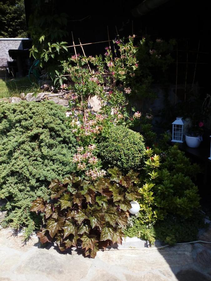 Apartamencik Na Slonecznej Piechowice  Exteriér fotografie
