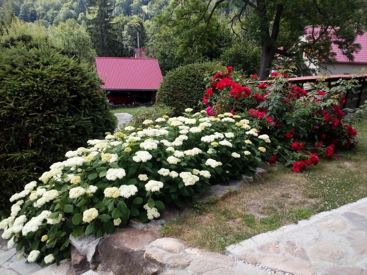 Apartamencik Na Slonecznej Piechowice  Exteriér fotografie